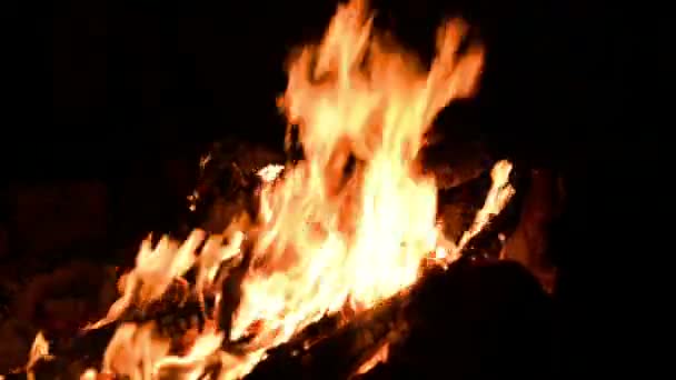 Bonfire in darkness — Stock Video