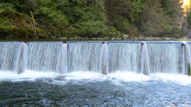 Artificial waterfall in forest — Stock Video