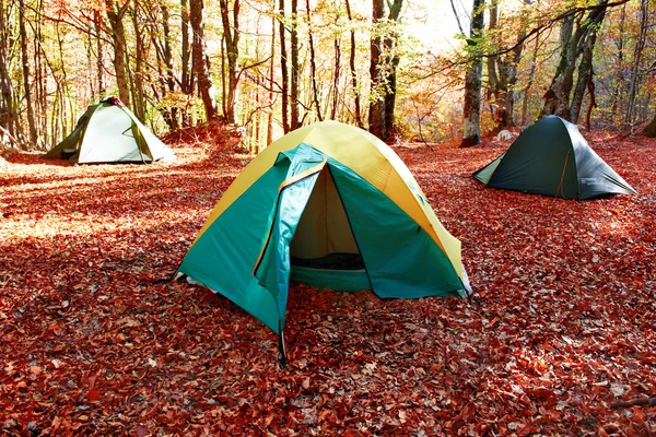 Green tent in the forest — Stock Photo, Image