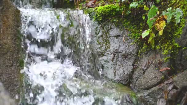 Cascata a cascata che scorre giù nella foresta verde — Video Stock