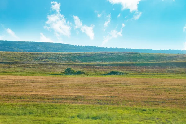 Campo verde — Foto de Stock