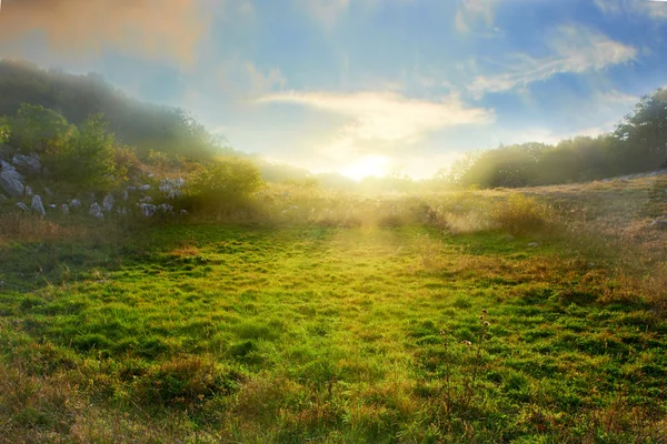 Campo verde — Foto de Stock