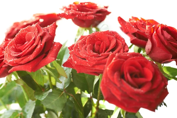 Ramo de rosas rojas hermosas — Foto de Stock