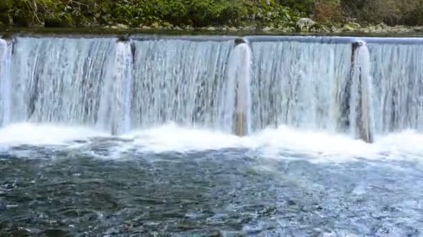 Каскад водопадов течет по зеленому лесу — стоковое видео