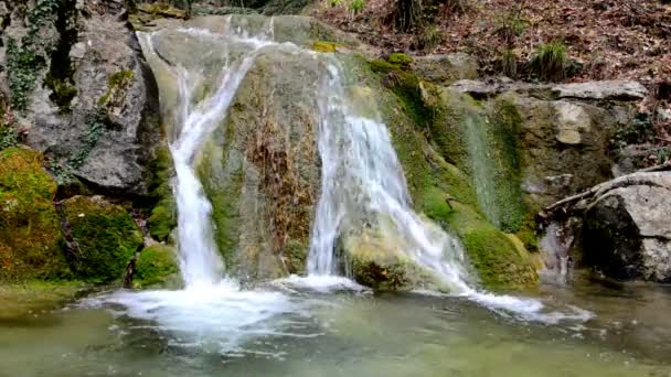 Vackra vattenfall i skogen av nationalpark — Stockvideo