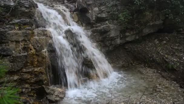 Hermosa cascada en el bosque del parque nacional — Vídeo de stock