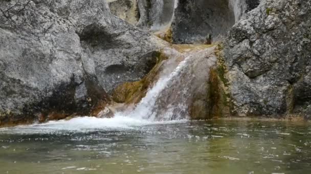 Bella cascata nella foresta del parco nazionale — Video Stock