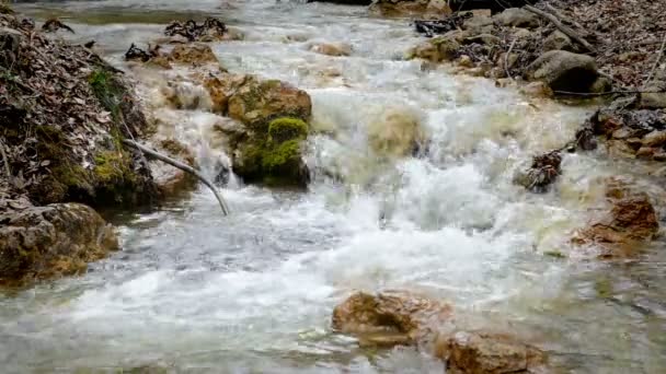 Hermosa cascada en el bosque del parque nacional — Vídeo de stock