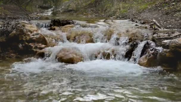 Hermosa cascada en el bosque del parque nacional — Vídeo de stock