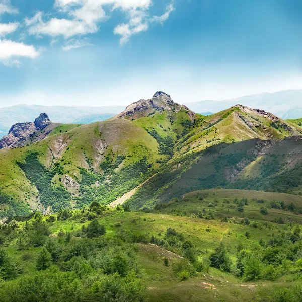 Montaña verde — Foto de stock gratuita