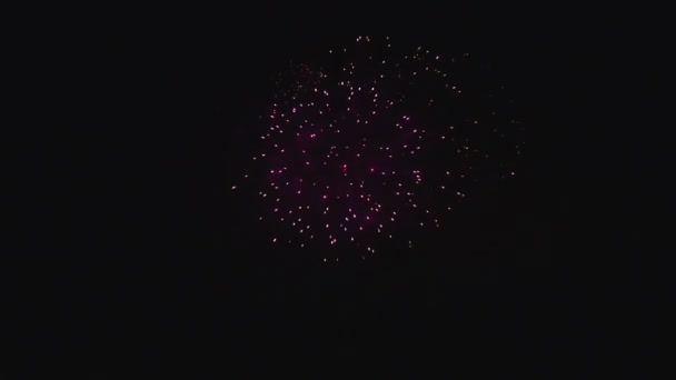 Fuegos artificiales coloridos con explosiones azules, rojas, blancas y amarillas en el fondo del cielo negro — Vídeos de Stock