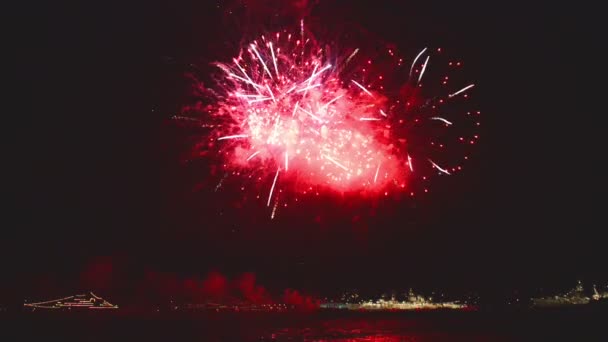 Colorful fireworks with blue, red, white and yellow explosions on the black sky background — Stock Video