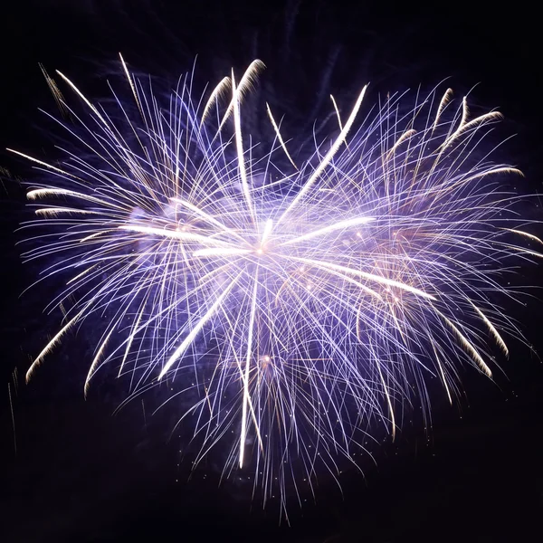 Feux d'artifice colorés — Photo