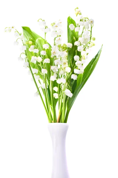 Lilies of the valley — Stock Photo, Image