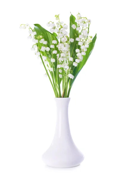 Lilies of the valley — Stock Photo, Image