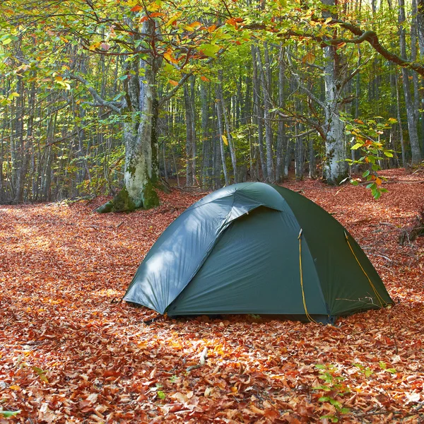 Green tent in the forest — Stock Photo, Image