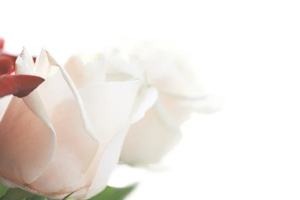 Μπουκέτο με κόκκινα και άσπρα τριαντάφυλλα όμορφη — Φωτογραφία Αρχείου