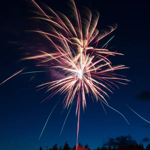 Blue colorful fireworks — Stock Photo, Image