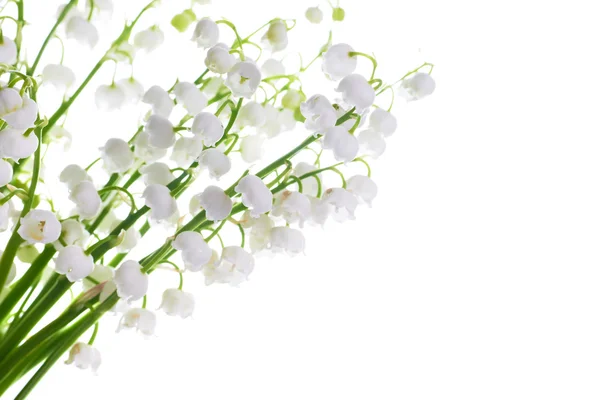 Lilies of the valley — Stock Photo, Image