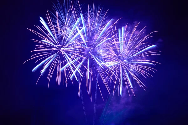 Fuegos artificiales de colores azules —  Fotos de Stock