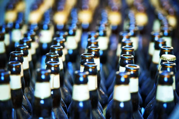 Närbild på många flaskor öl — Stockfoto