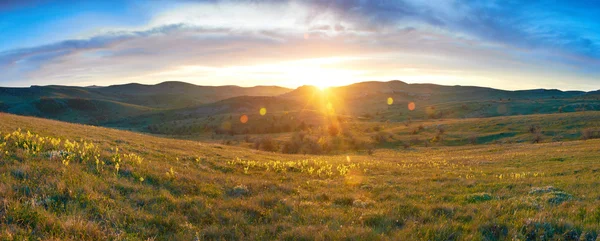 Feld mit Blumen und dramatischem Himmel — Stockfoto