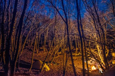 çadır kamp ateşinin ışığıyla aydınlatılan