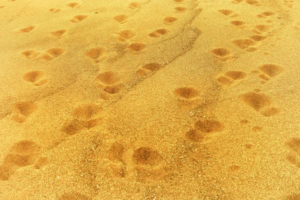 Lábnyomok a homokon — Stock Fotó