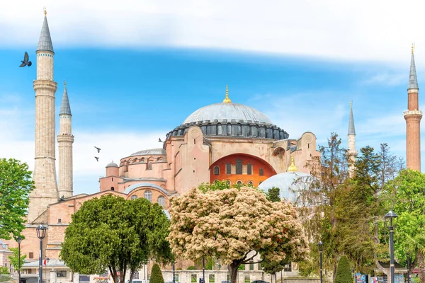 Meczet Hagia Sophia Kościół Katedra Stambule Turcja — Zdjęcie stockowe