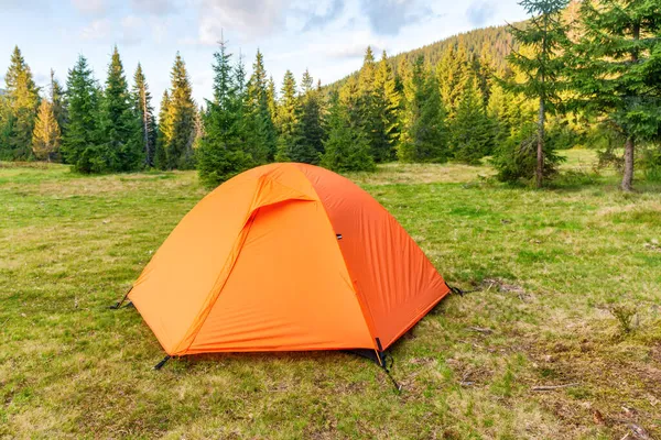 Апельсиновый Палаточный Лагерь Зеленом Сосновом Лесу Палатками — стоковое фото