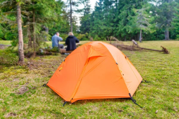 Campo Tenda Laranja Pinhal Verde Com Camping — Fotografia de Stock