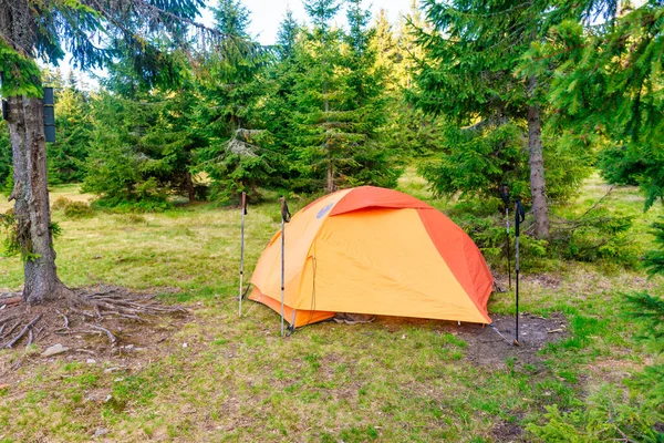 Campo Tenda Laranja Pinhal Verde Com Camping — Fotografia de Stock