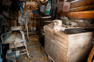 Old country farm barn interior with cat and rustic aged equipment