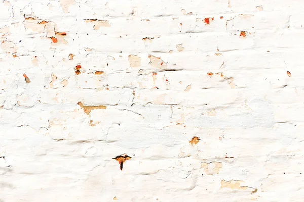 Arkaplan için beyaz tuğla eski duvar dokusu