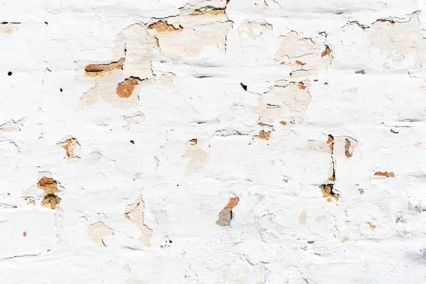 Arkaplan için beyaz tuğla eski duvar dokusu