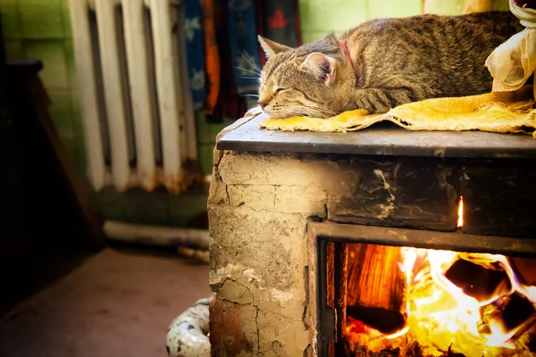 Cat Sleeping Stove Fireplace Home Room — Stockfoto