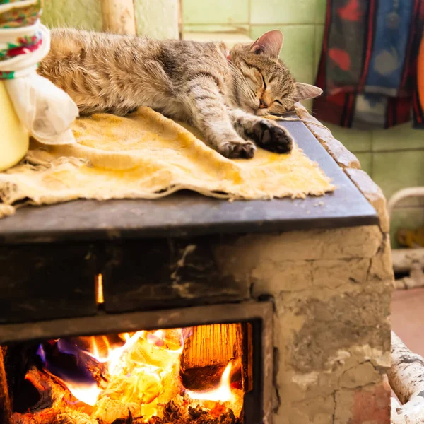 Katze Schläft Auf Herd Kamin Heimischen Zimmer — Stockfoto