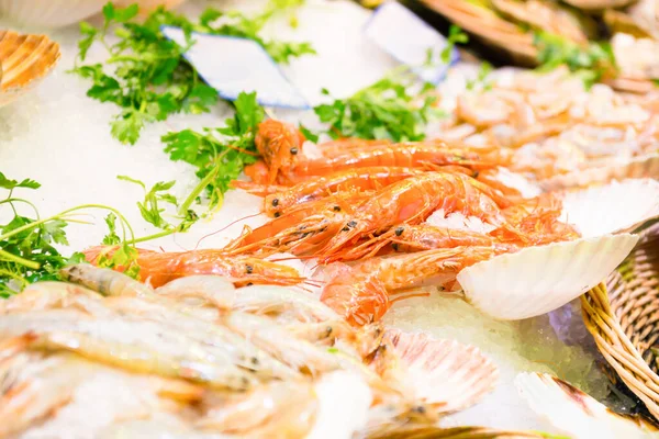 Shrimps Prawn Ice Green Parsley Fresh Seafood — стоковое фото