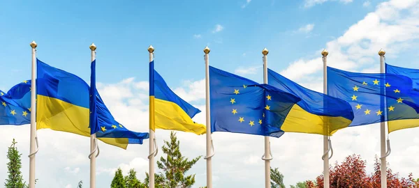 Ukrayna ve Avrupa Birliği mavi gökyüzünde rüzgarla dalgalanan direklerde bayrak sallıyor. Ukrayna bayrak panoraması