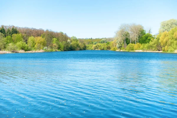 Paisaje Del Lago Del Río Con Agua Azul Bosque — Foto de Stock