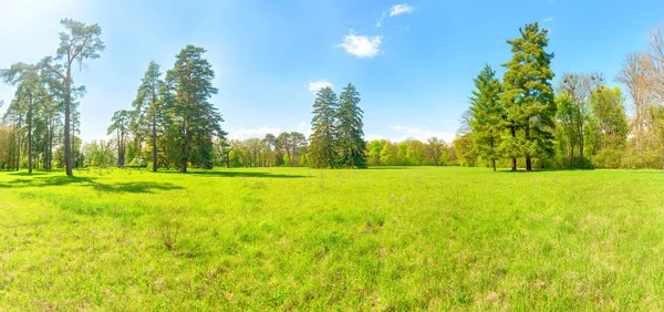 Zelené Panorama Parku Zelenými Stromy Zelenou Trávou Zeleném Poli — Stock fotografie