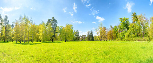 Green park panorama with green trees and green grass on green field