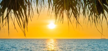 Sea sunset landscape panorama with sunset sun on blue sea and palm tree leaves