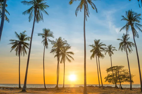 Sunset Palm Trees Beach Landscape Palms Sea Island — Stock Photo, Image