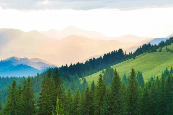 Paisagem Com Montanhas Azuis Floresta Pôr Sol — Fotografia de Stock