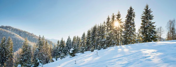 Panorama Foresta Invernale Neve Bianca Collina Tramonto — Foto Stock
