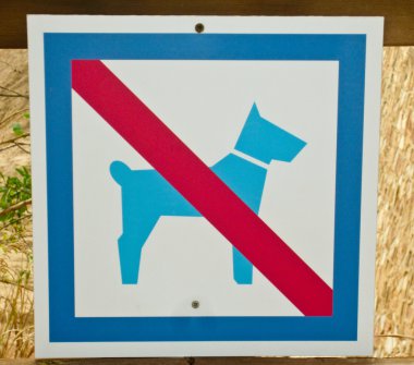 köpek yok