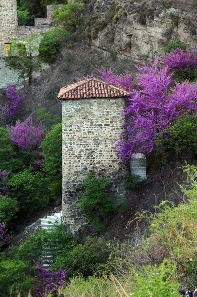 Narikala slottsruiner i tbilisi, Georgien — Stockfoto