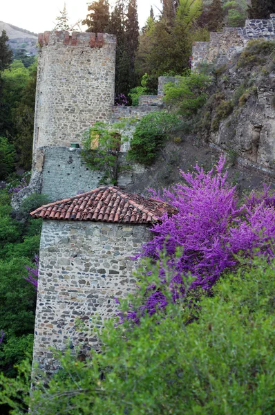 Ruiny zamku Narikala w tbilisi, w Gruzji — Zdjęcie stockowe