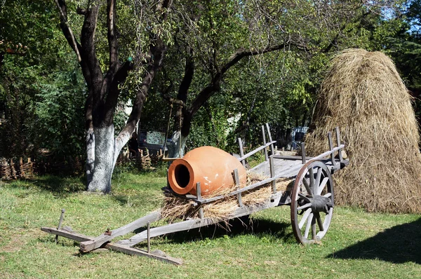 Vidéki táj: hagyományos grúz boroskancsó és széna — Stock Fotó